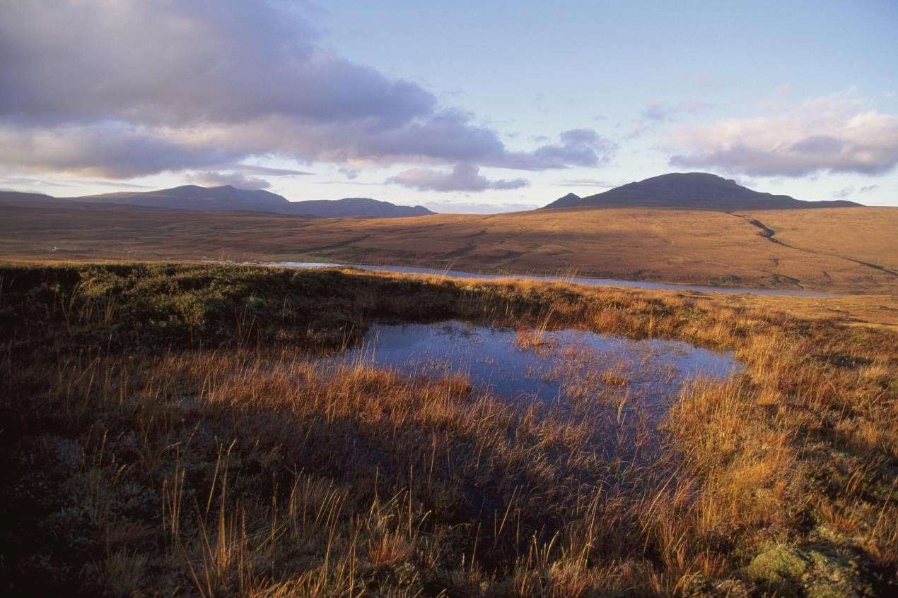 The Flow Country. Picture: Peatland Partnership