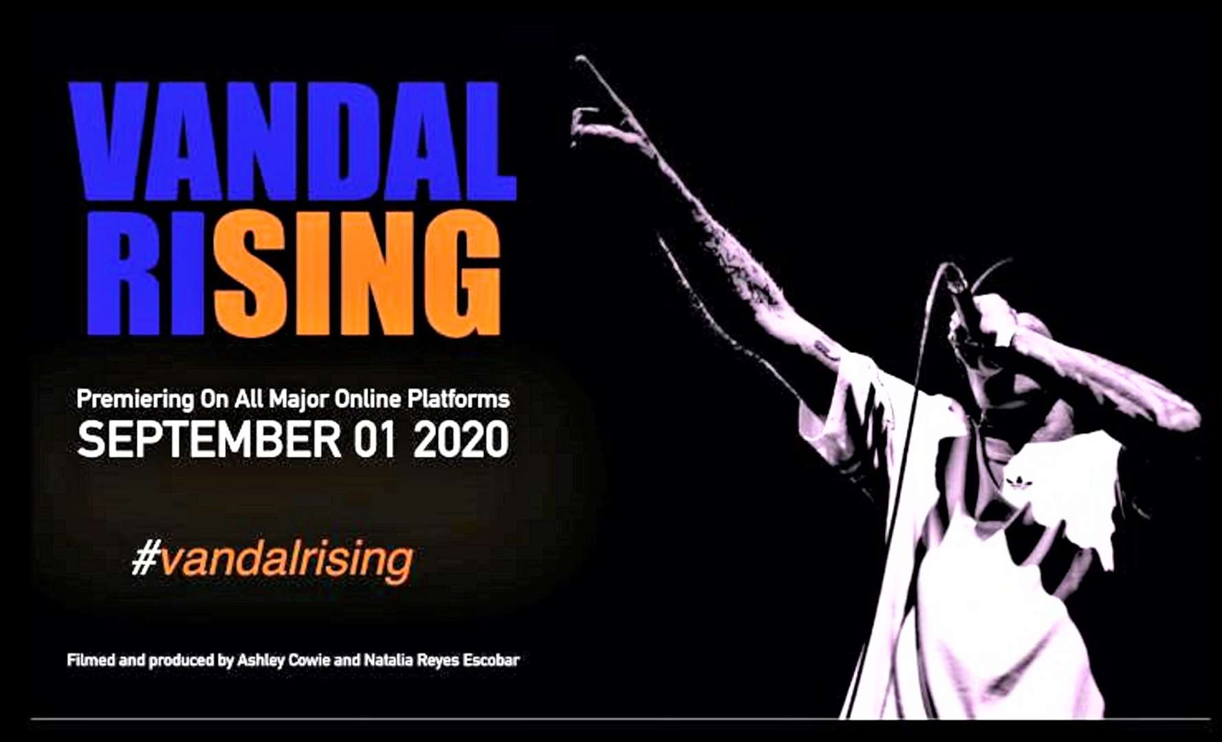 Vandal Rising poster advertsing the new documentary.