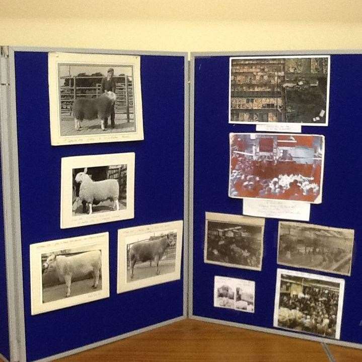A display of photographs at the mart exhibition.