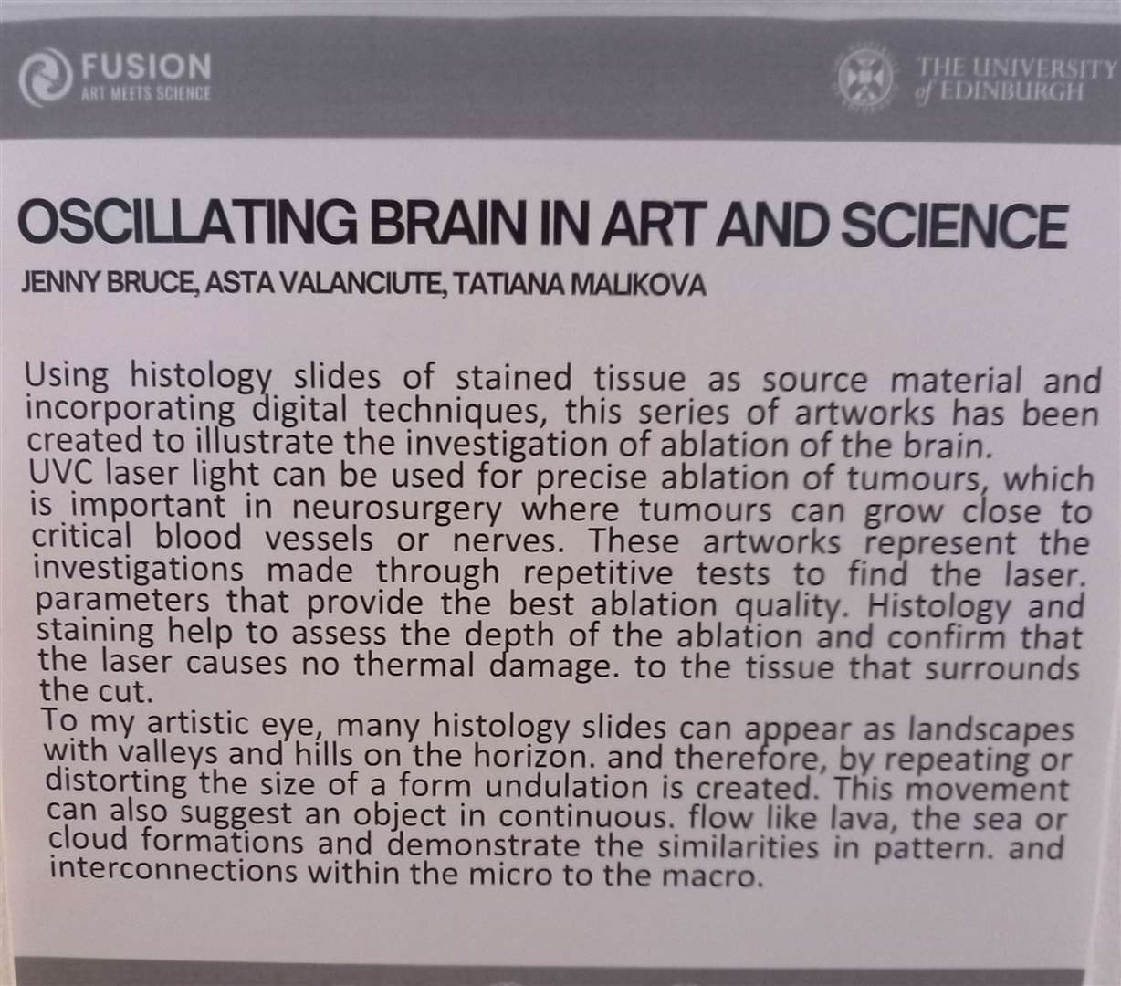 Information from the show related to Jenny Bruce's paintings. Picture supplied