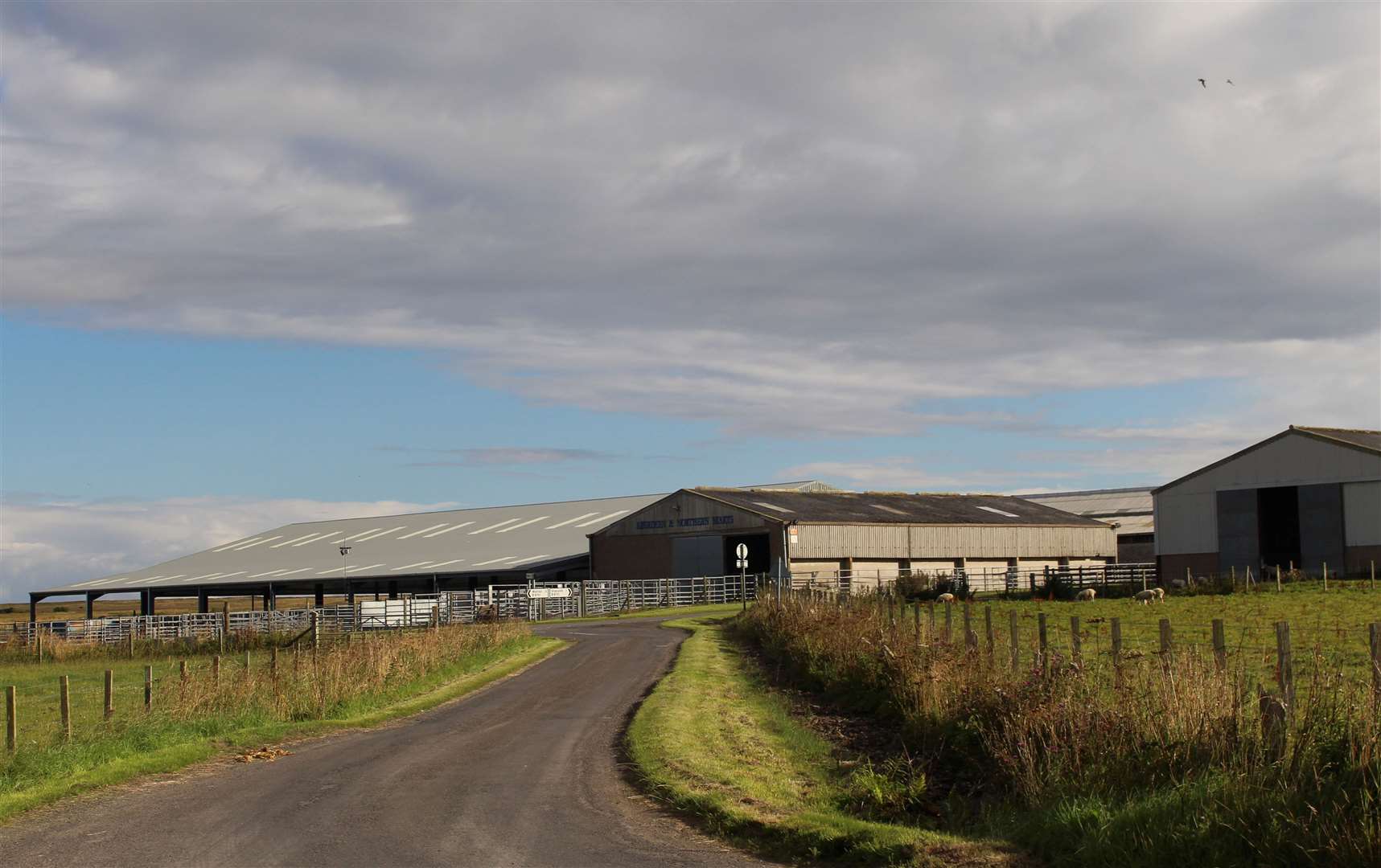 Quoybrae mart in Caithness.