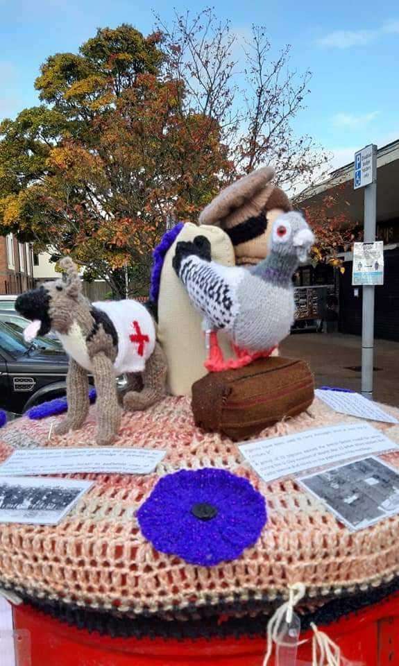 The group has also made purple poppies commemorating animals in war, as well as red ones (Yarn Bomb Hemel Hempstead/PA)