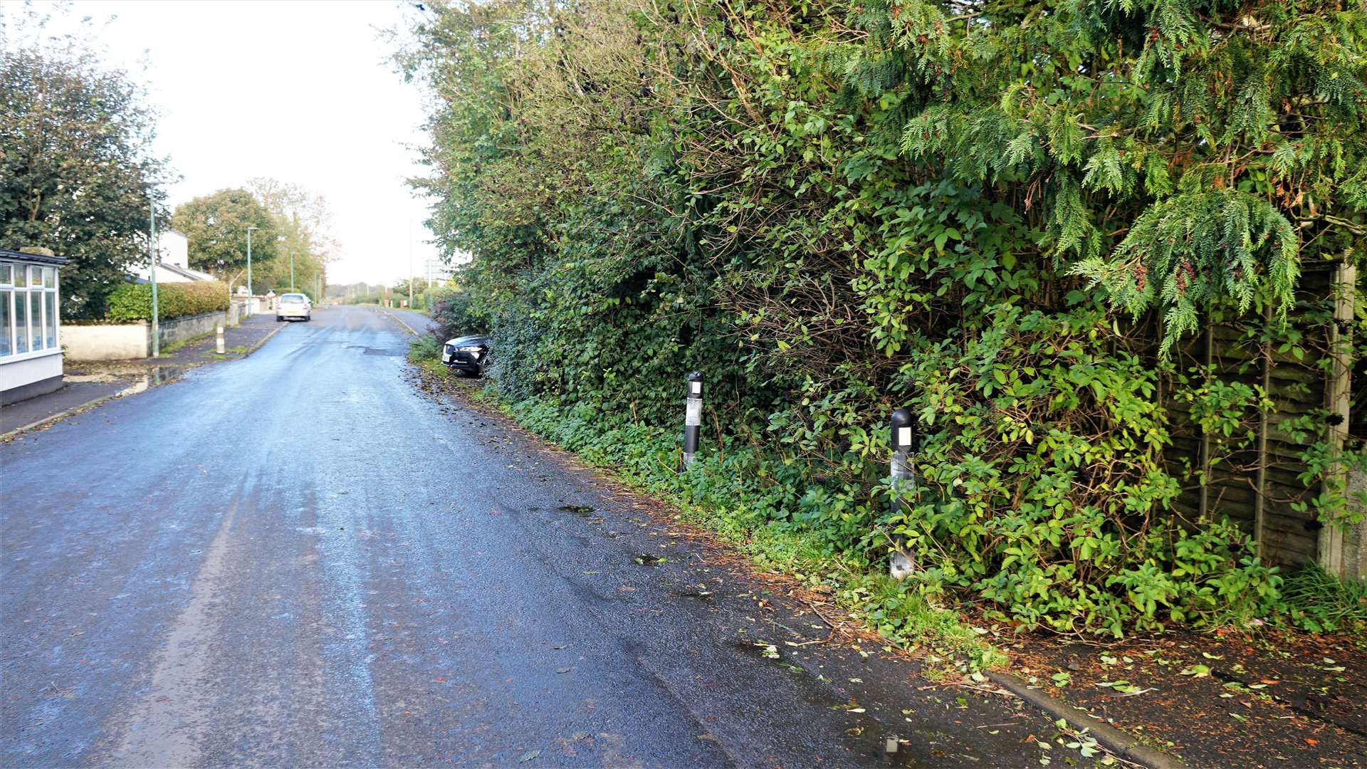 This area of pavement beside the Watten Toll House is inaccessible for pedestrians due to the growth of trees, weeds and shrubs. Picture: DGS