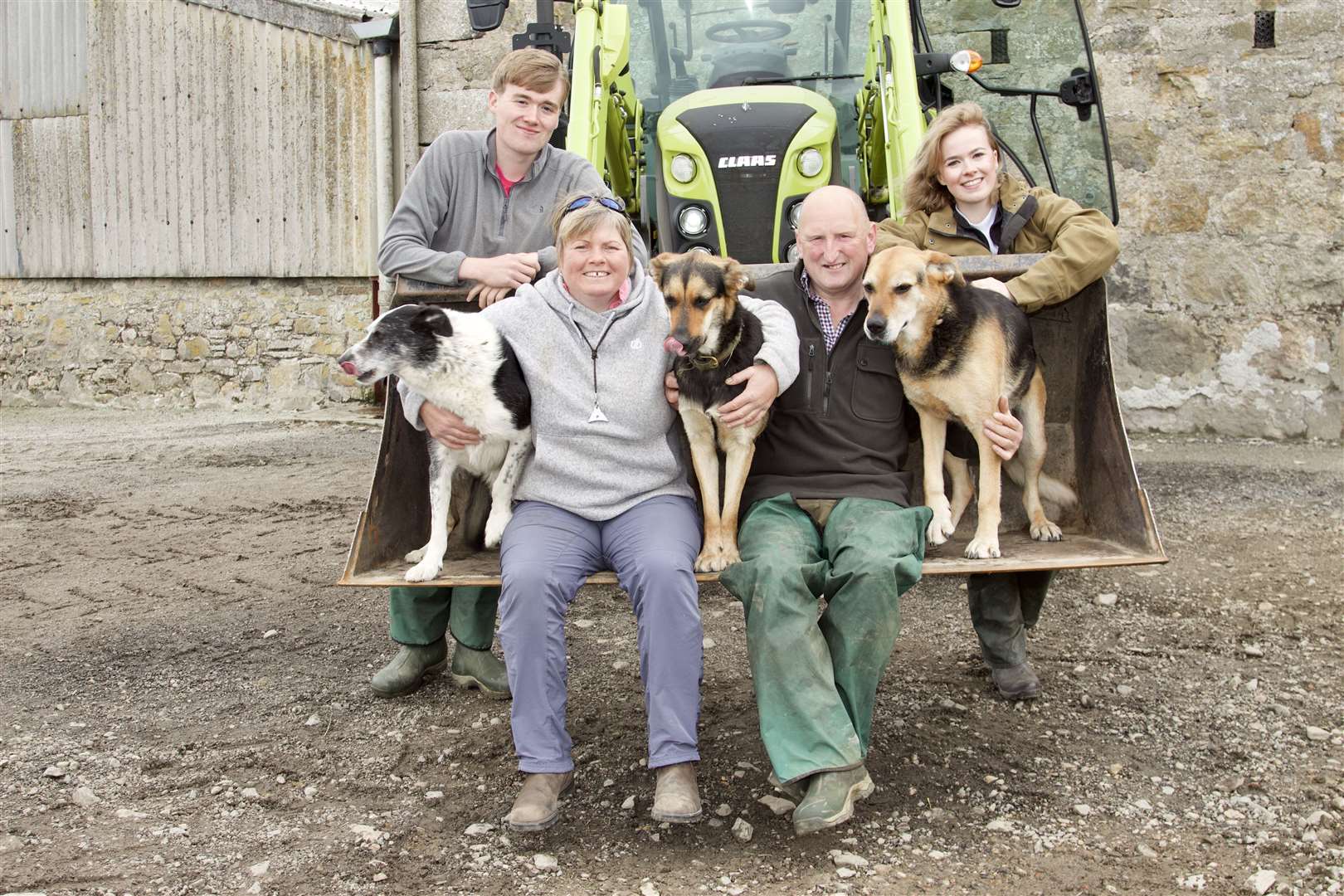 The team at Armadale Farm take some time out for a quick photo opportunity. In the tractor bucket are Joyce Campbell and her husband Ian Macleay, with twins Mure and Frances Grant standing behind. Also in the picture are farm dogs Jock, Ruby and Jude. Picture: Caroline Jones