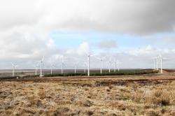 The existing wind farm at Buolfruich.
