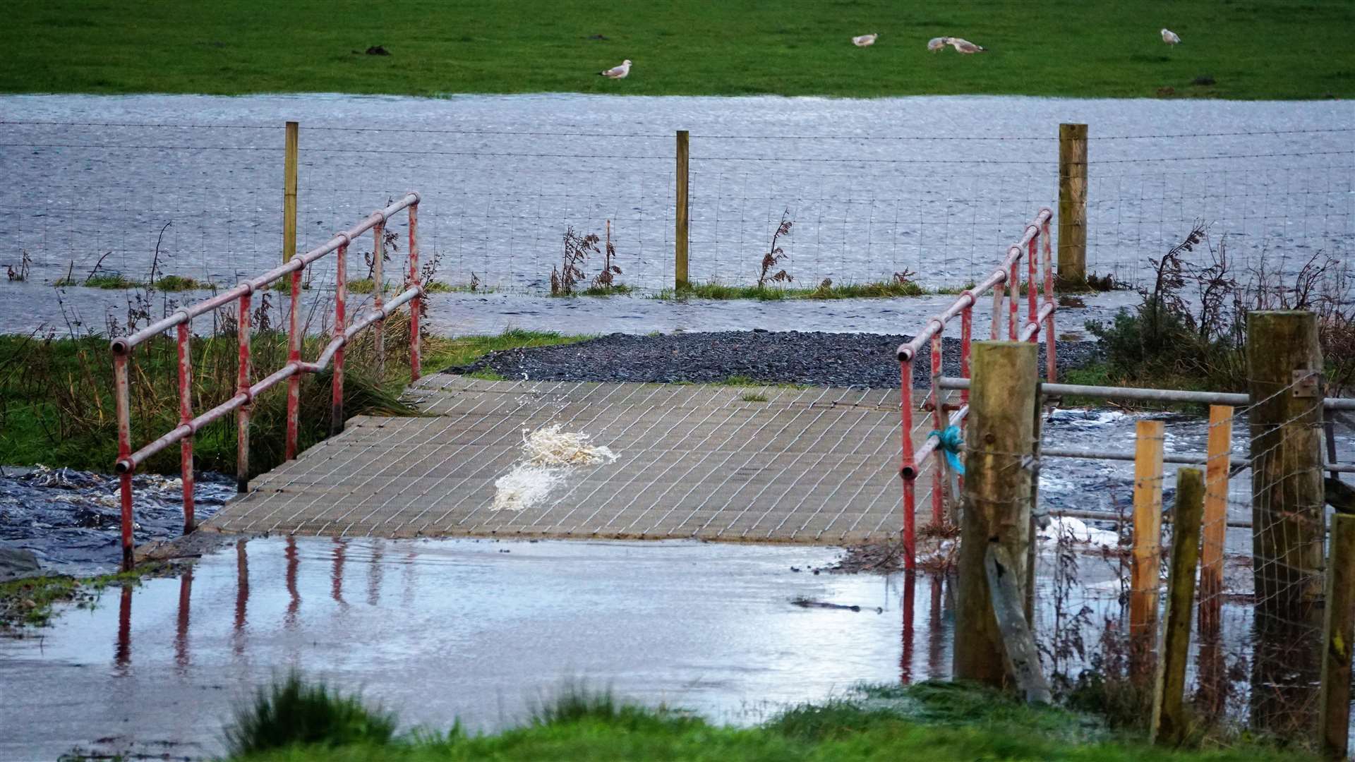 Bridge at Puldagon Farm was close to being flooded. Picture: DGS