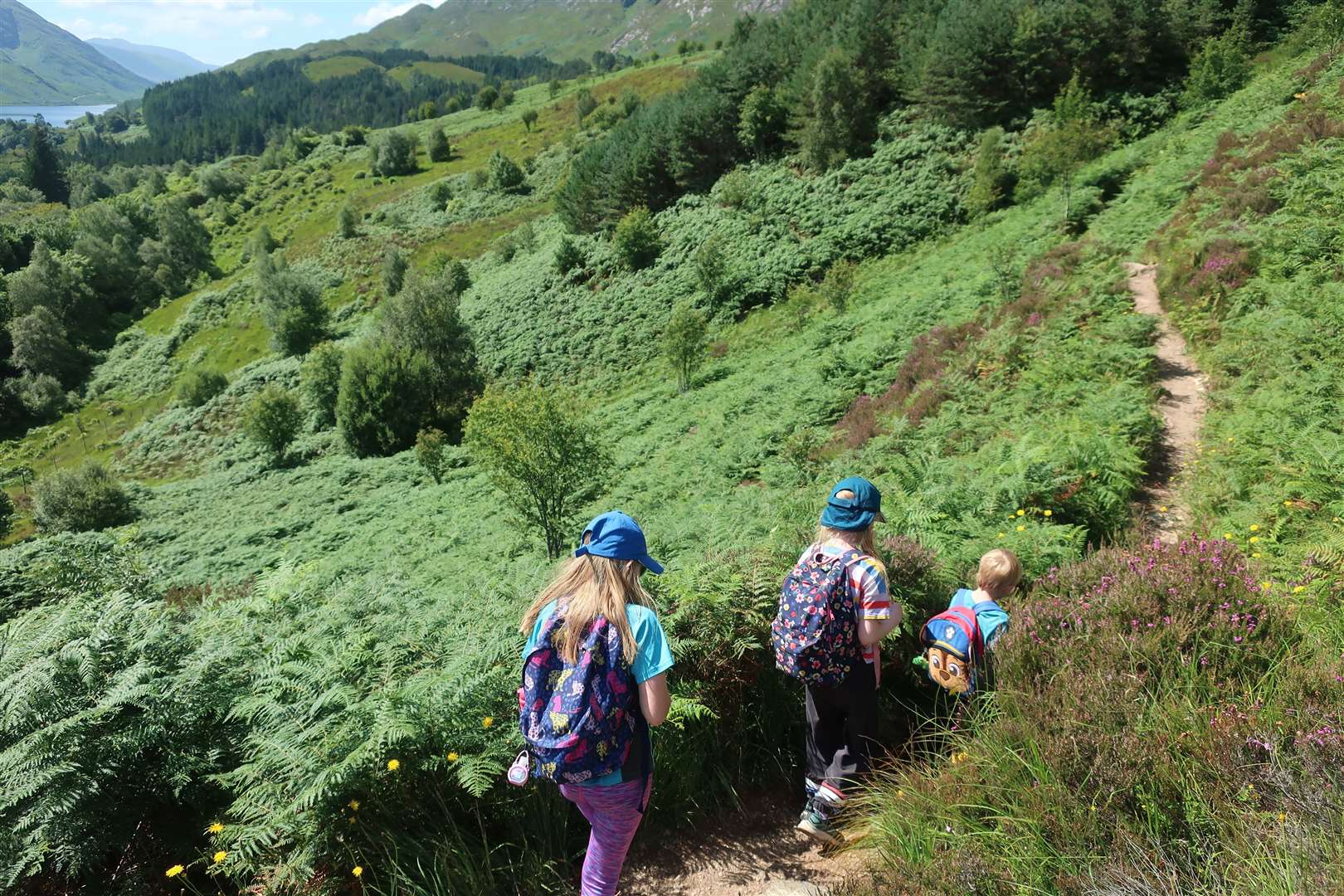 Matthew 'the engine' leads the train along the hillside path.