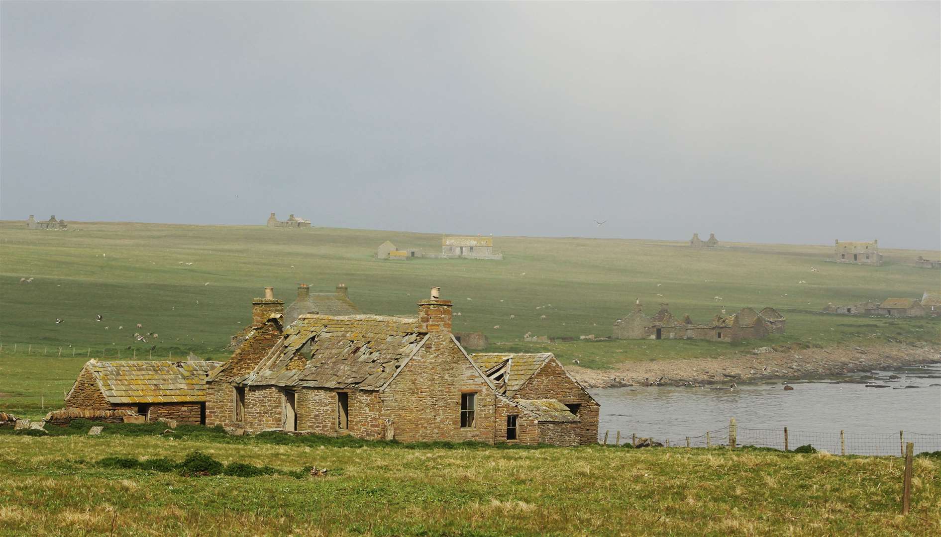 Some of the crumbling houses on the east side of Stroma, May 2019. Picture: Alan Hendry