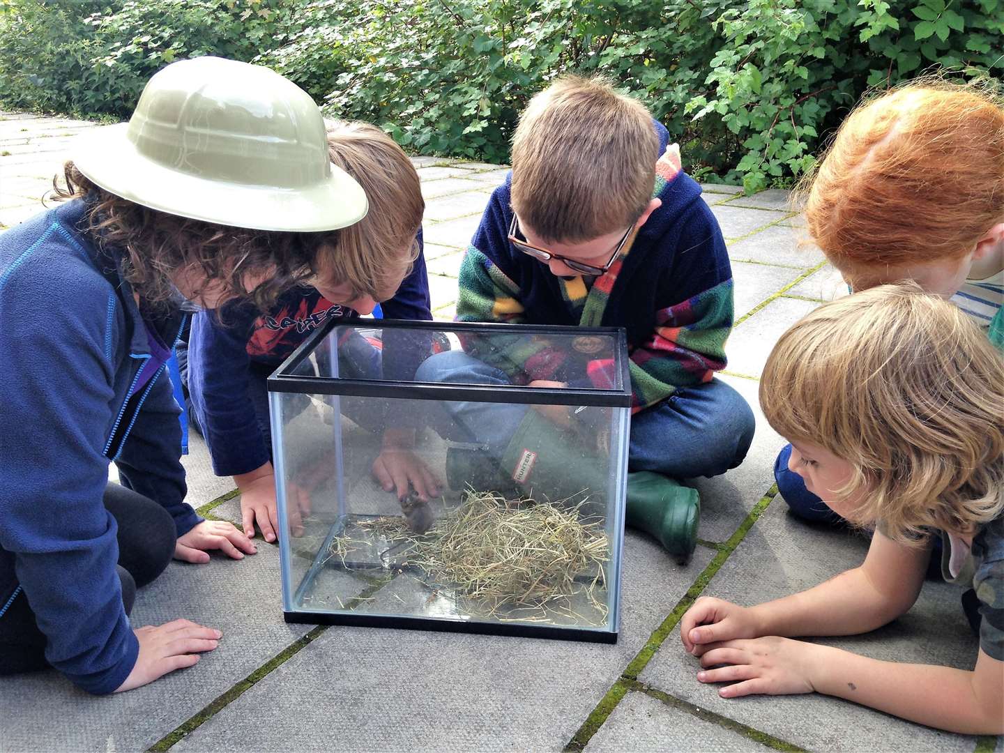 Children examine small animals that have been trapped.