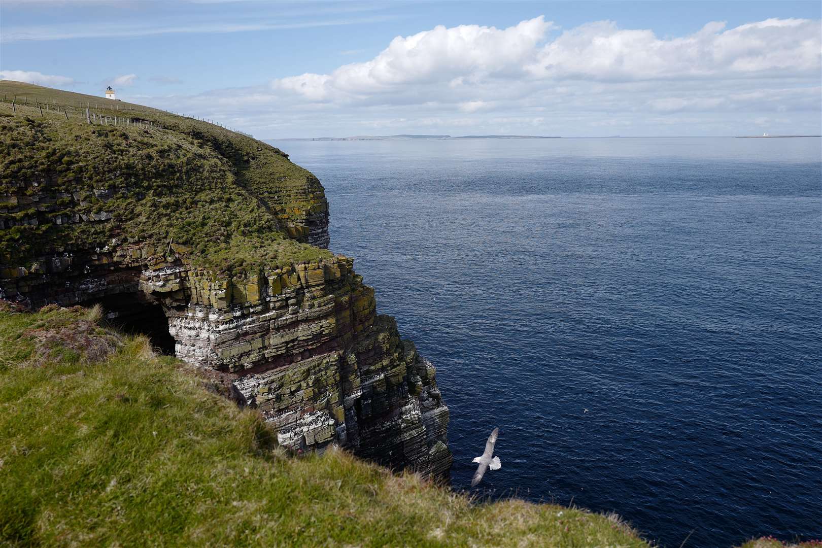 The cliffs of Caithness make it an internationally important site for nesting seabirds.