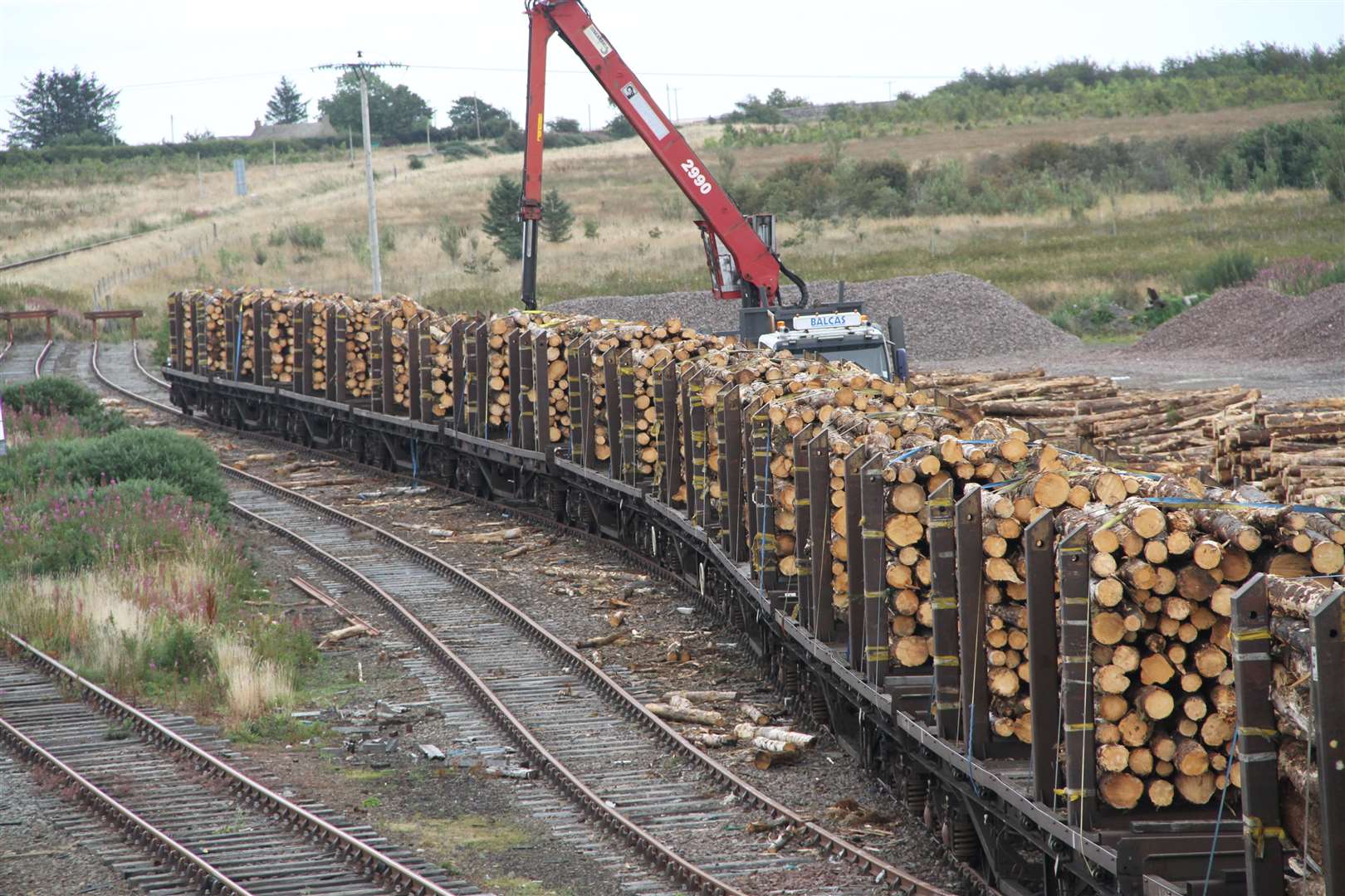 Timber being loaded onto carriages at Georgemas. A new scheme could see the same happening at Altnabreac.