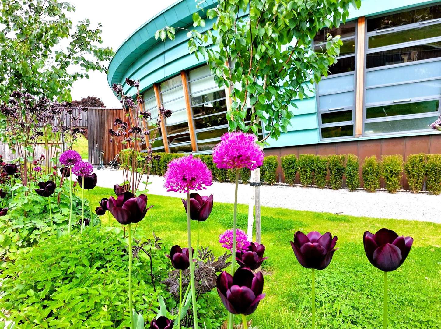 Maggie's charity garden. Pictures supplied