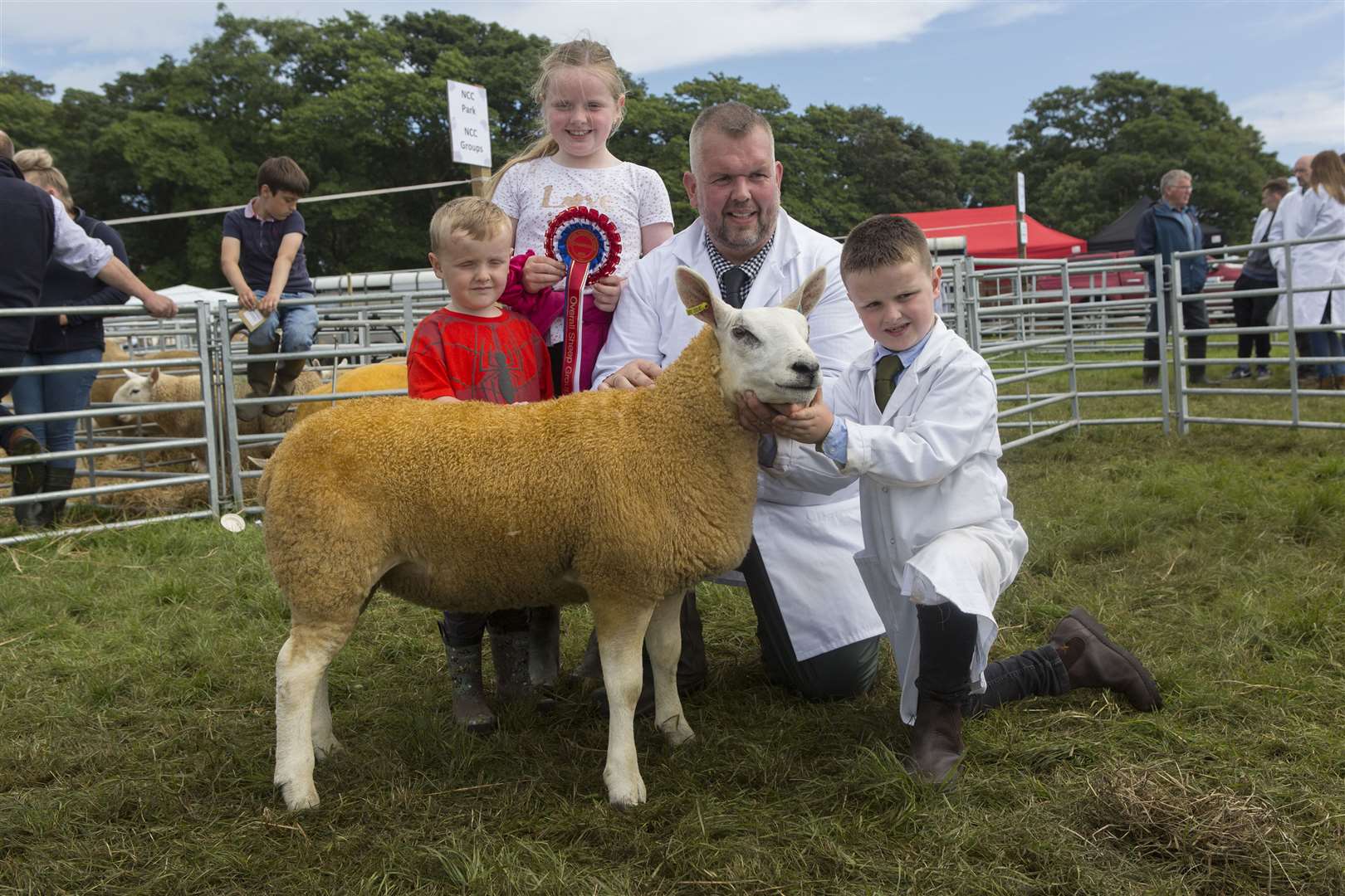 The supreme sheep championship and cross sheep championship went to Messrs Sutherland, Sibmister and Stainland Farms. Their champion was a home-bred, March-born, three-quarter Texel ewe lamb by a home-bred sire. Holding the champion is Kenneth Sutherland Jnr with his children Tom, Amy and Jack. Picture: Robert MacDonald / Northern Studios