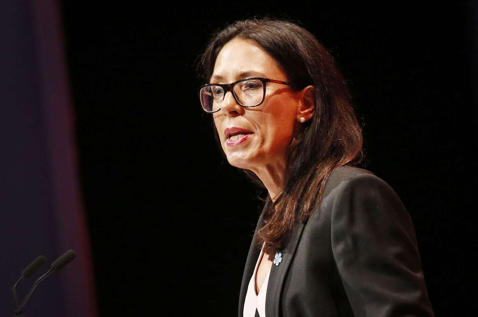 Debbie Abrahams has asked the Prime Minister to support her bill (Danny Lawson/PA)
