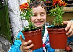 Liam MacIvor (6), from Castletown, showing off some of the marigolds the youngsters potted.