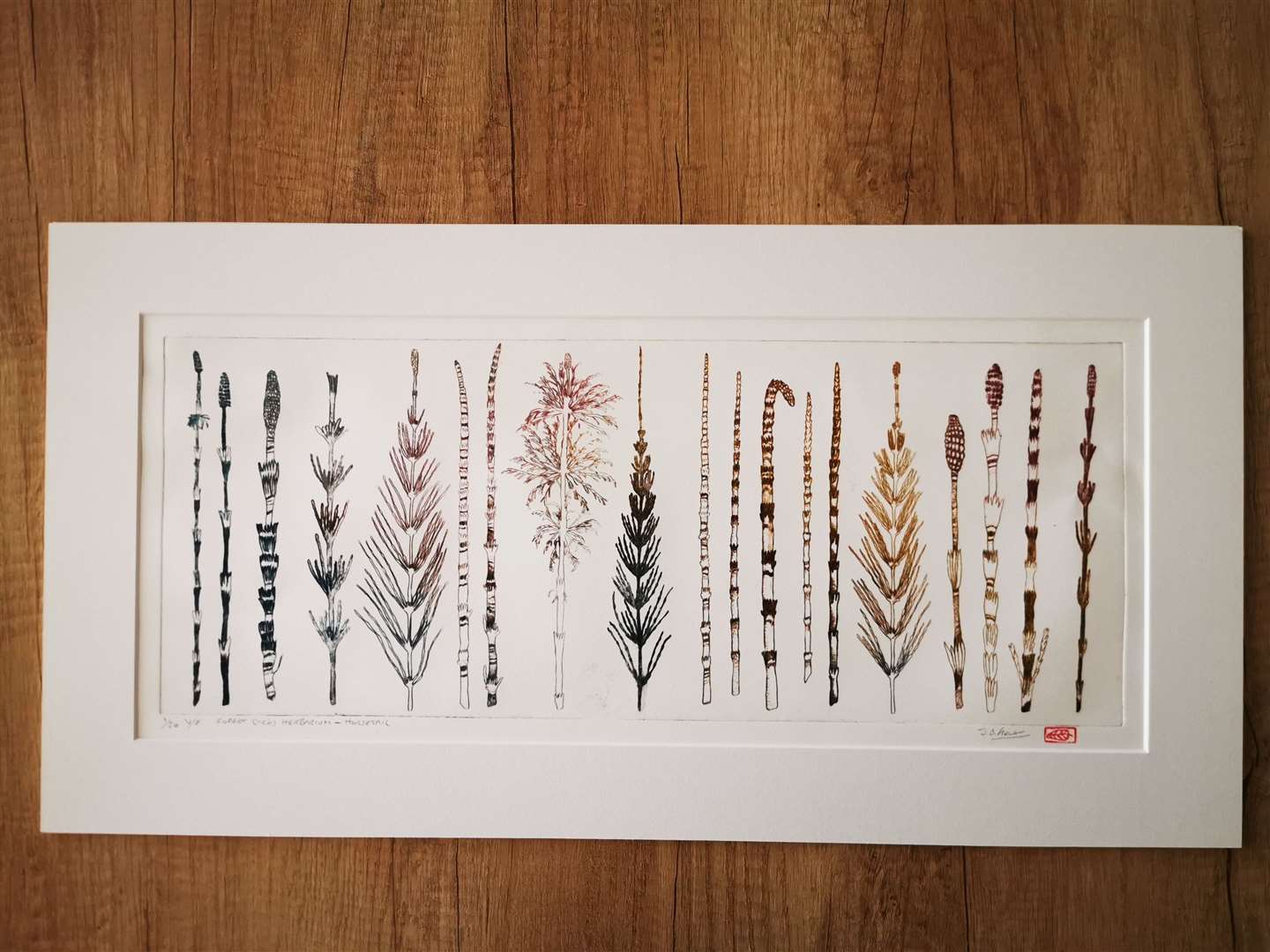 This piece by Joanne B Kaar was inspired by Robert Dick's herbarium. Picture courtesy of Joanne B Kaar, Brough