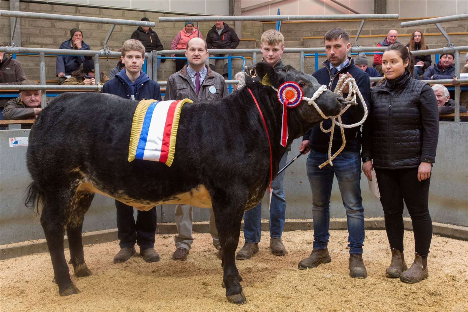 Hannah Levack, Dunbeath Mains, with her champion Limousin cross heifer at the Young Farmers' overwintered championship. Holding the animal is her partner Kris Sutherland, while looking on are show judge Angus Greenlaw (back, centre), who purchased the champion, and Iain (left) and Dhaill Mackay, representing the show sponsors, Messrs A H Mackay, West Greenland. Picture: Robert MacDonald / Northern Studios