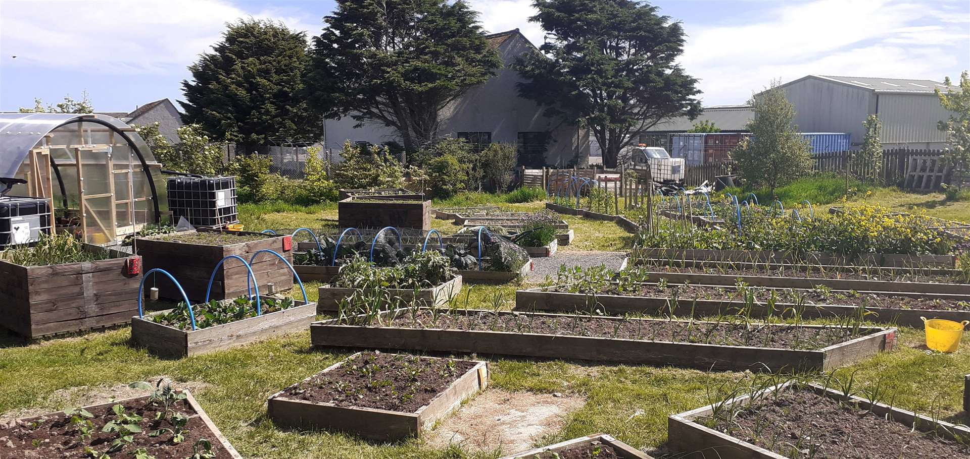 The community gardens at Ormlie.