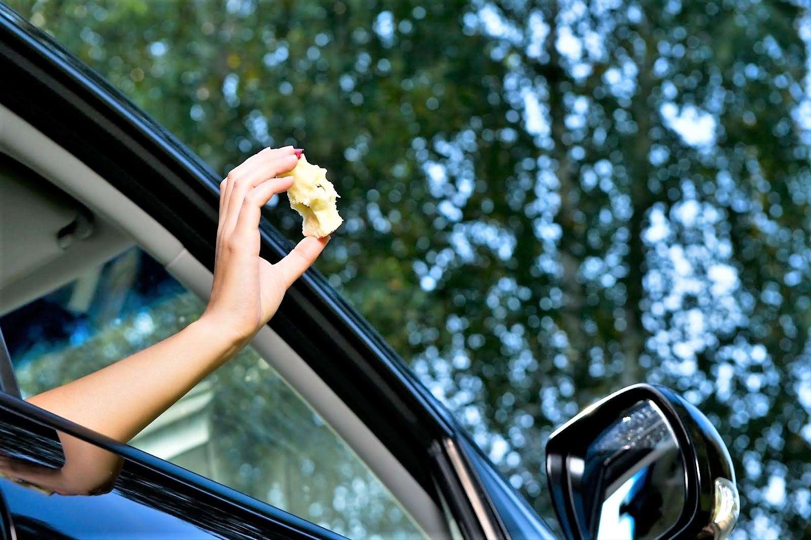 You can be fined for throwing an apple core out your car window when driving. Picture: Shutterstock