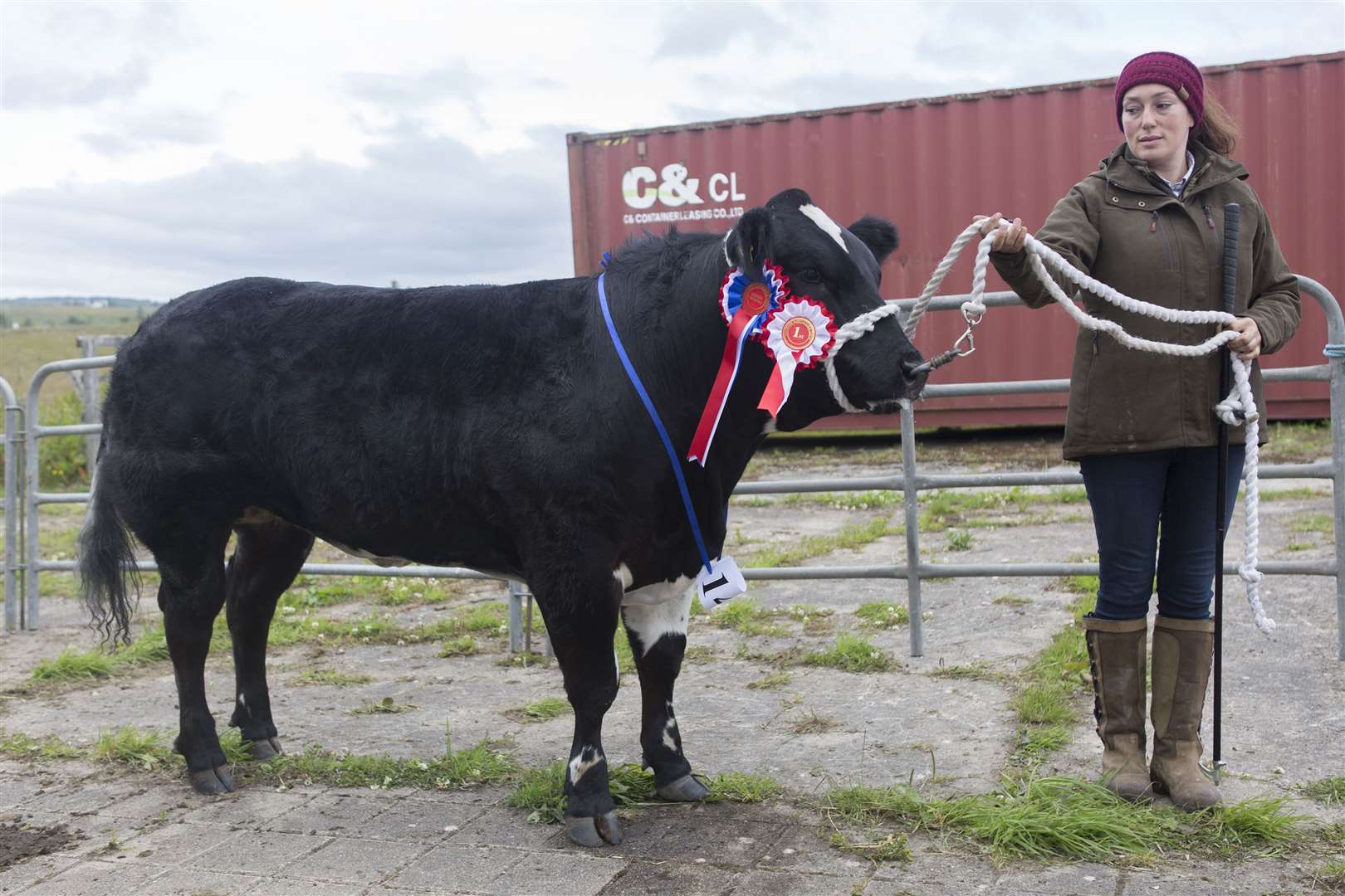 Debby Munro, of Invercharron Farm, Ardgay, holding the supreme cattle champion, Jacket Potato the commercial title winner, a 15-month-old British Blue cross heifer, after Caithness Norseman. Picture: Robert MacDonald/Northern Studios