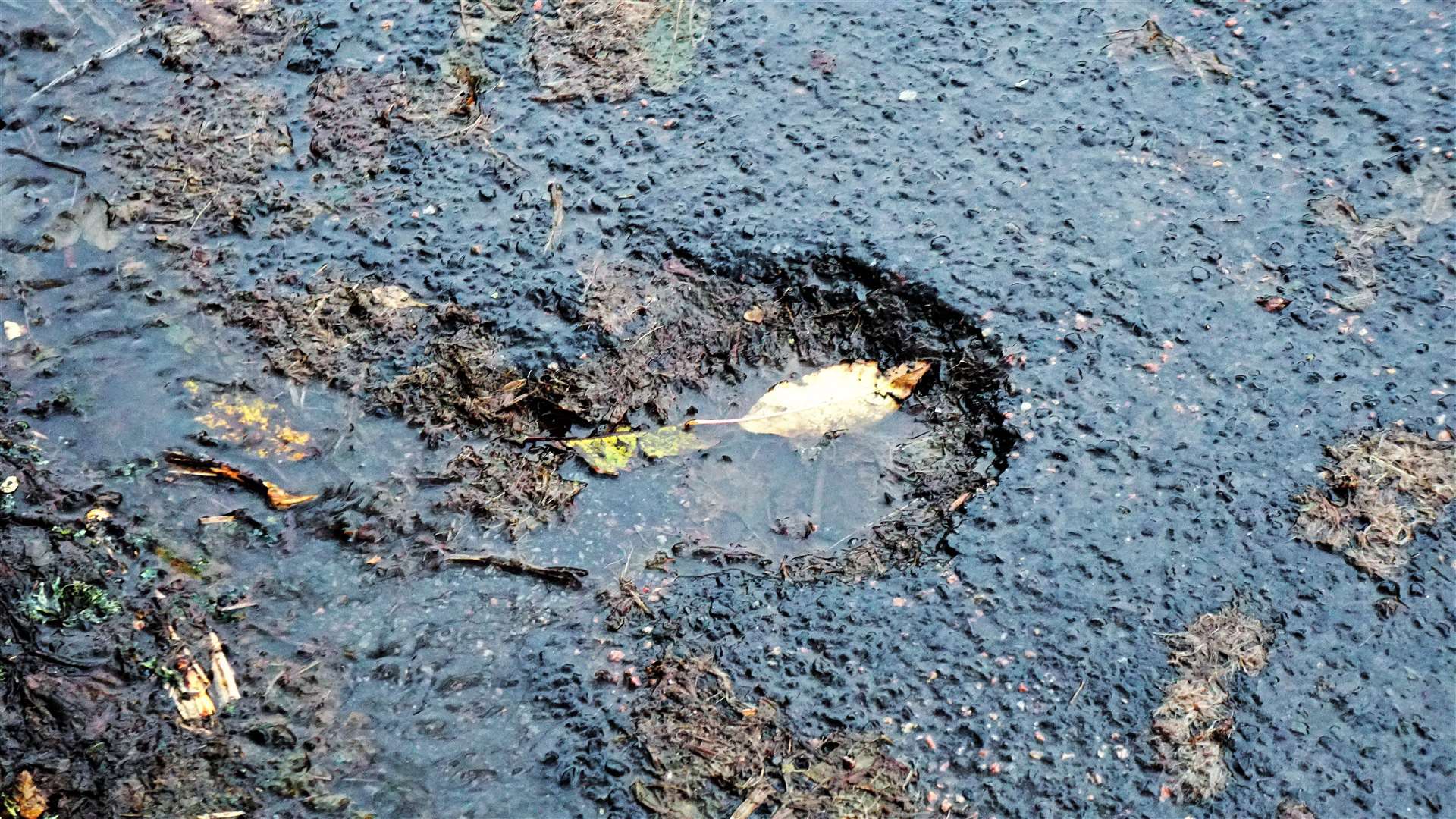 The pothole that the wheel got stuck in. Picture: DGS