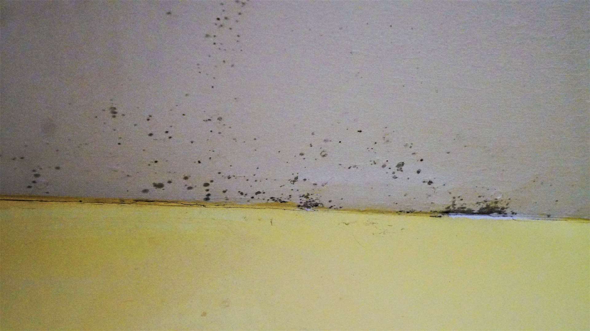 Damp mould appeared in Mr Harris' kitchen when he had to cut down the heating in his kitchen. Picture: DGS