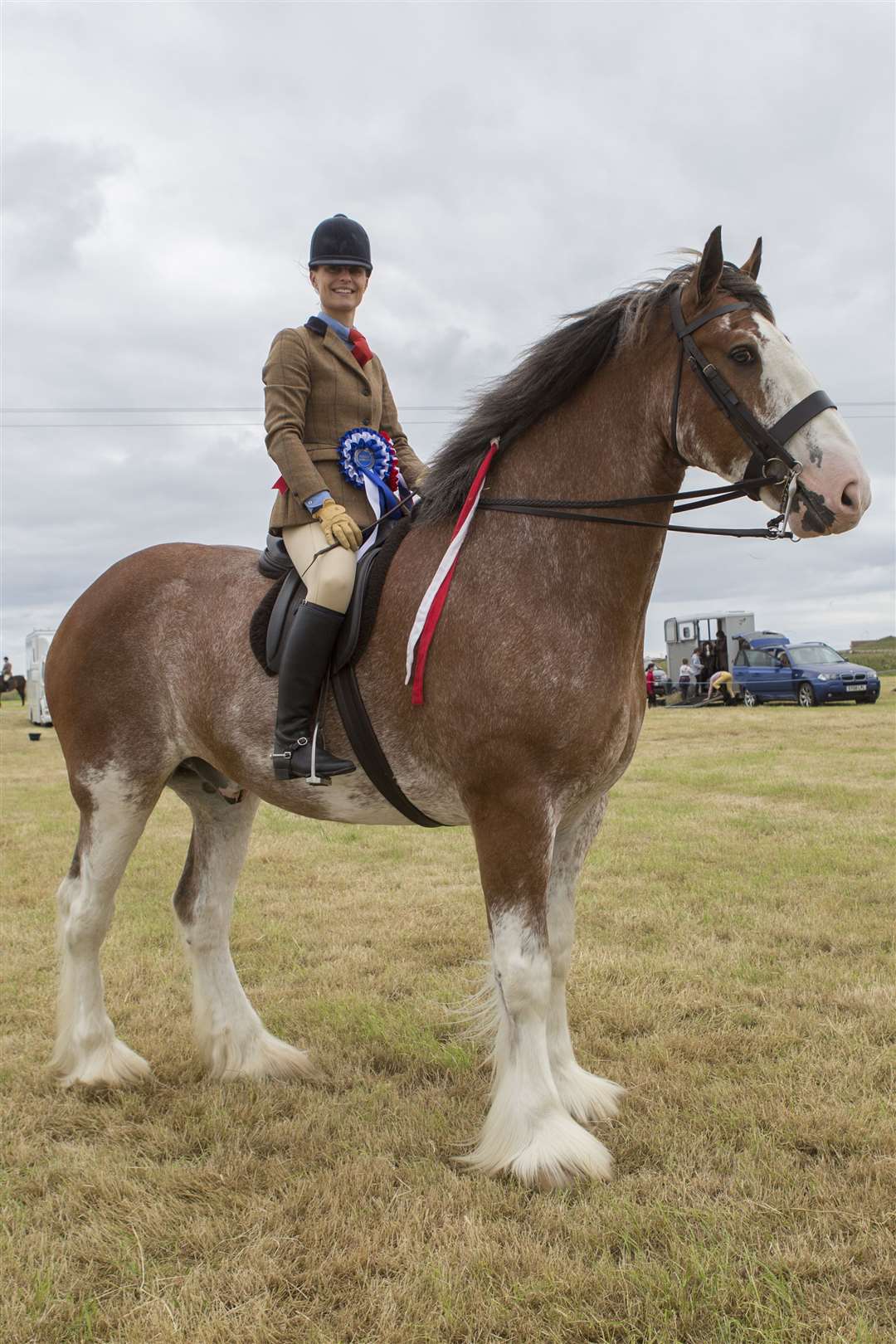 Isla Miller with the 2019 reserve supreme horse champion, Clydesdale champion Stobilee Zac, a seven-year-old gelding owned by Brian Bisset, Brough. Picture: Robert MacDonald / Northern Studios