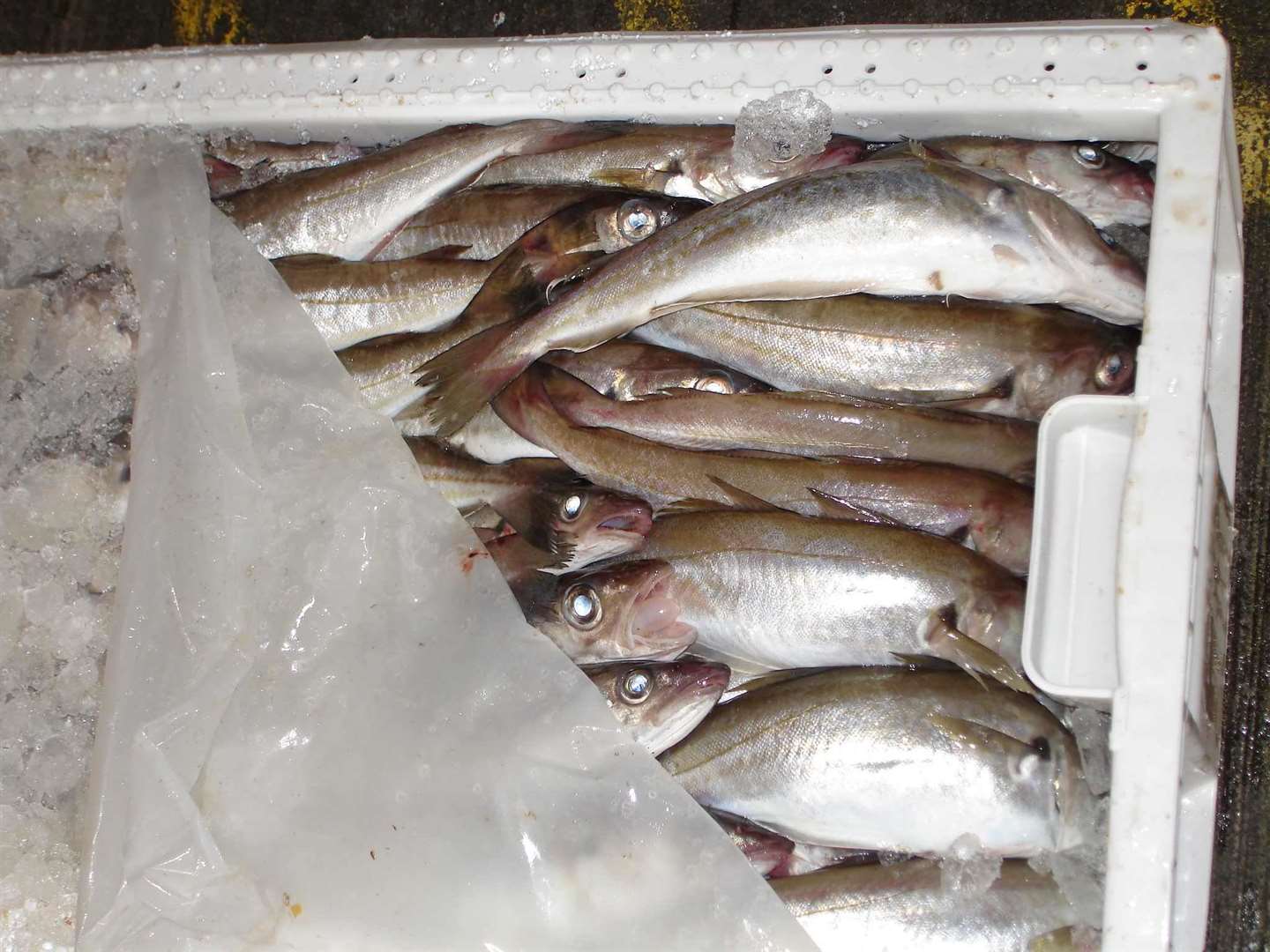 Scottish fish exporters have expressed anger over port delays in France.