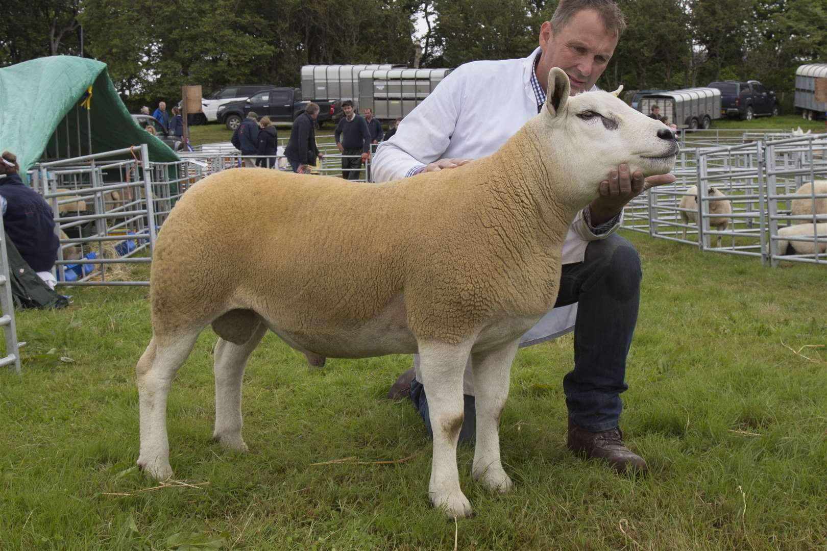 Johnnie Campbell, of D N Campbell & Sons, Bardnaclavan, with the MV Accredited Texel champion, a shearling tup. Picture: Ann-Marie Jones / Northern Studios